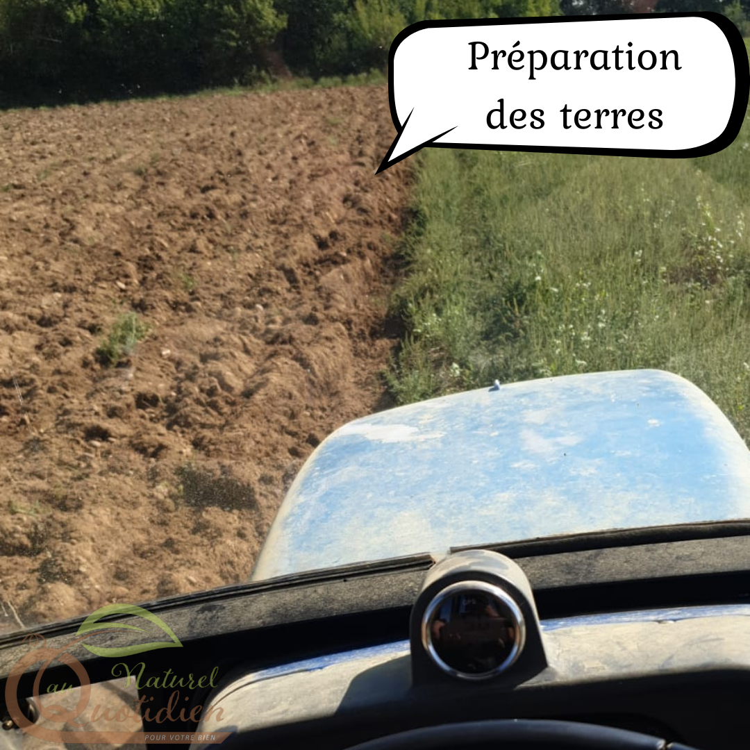 Farine d'orge - talbina – Image 2