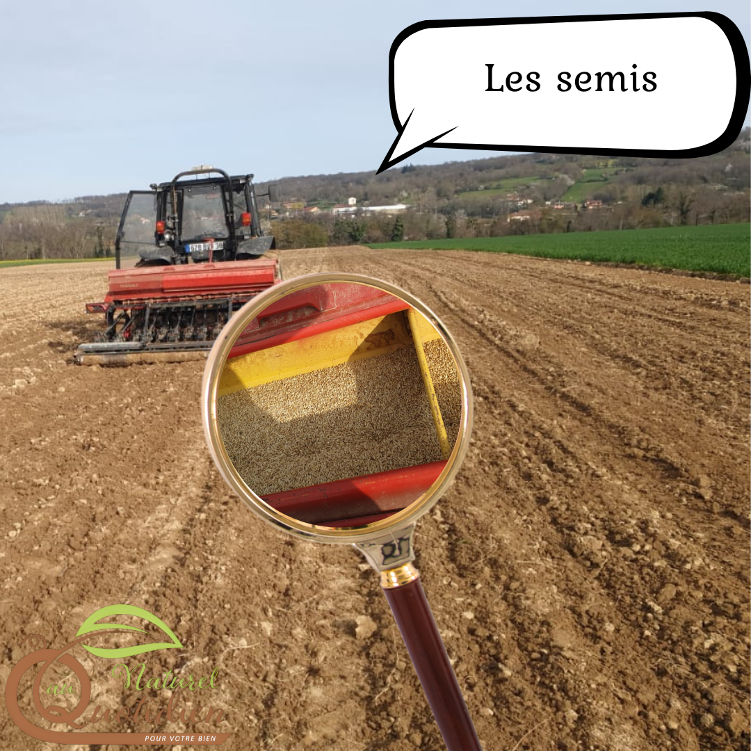 Farine d'orge - talbina – Image 3