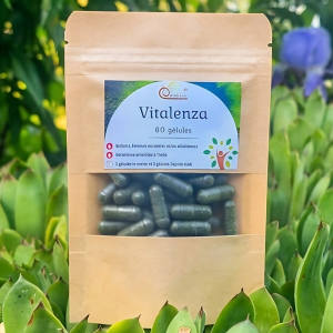 Vitalenza - boost & anti fatigue