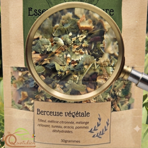 Alternative view of Berceuse végétale : infusion naturelle pour un sommeil réparateur