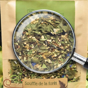 Alternative view of Souffle de la forêt : infusion revitalisante aux notes végétales