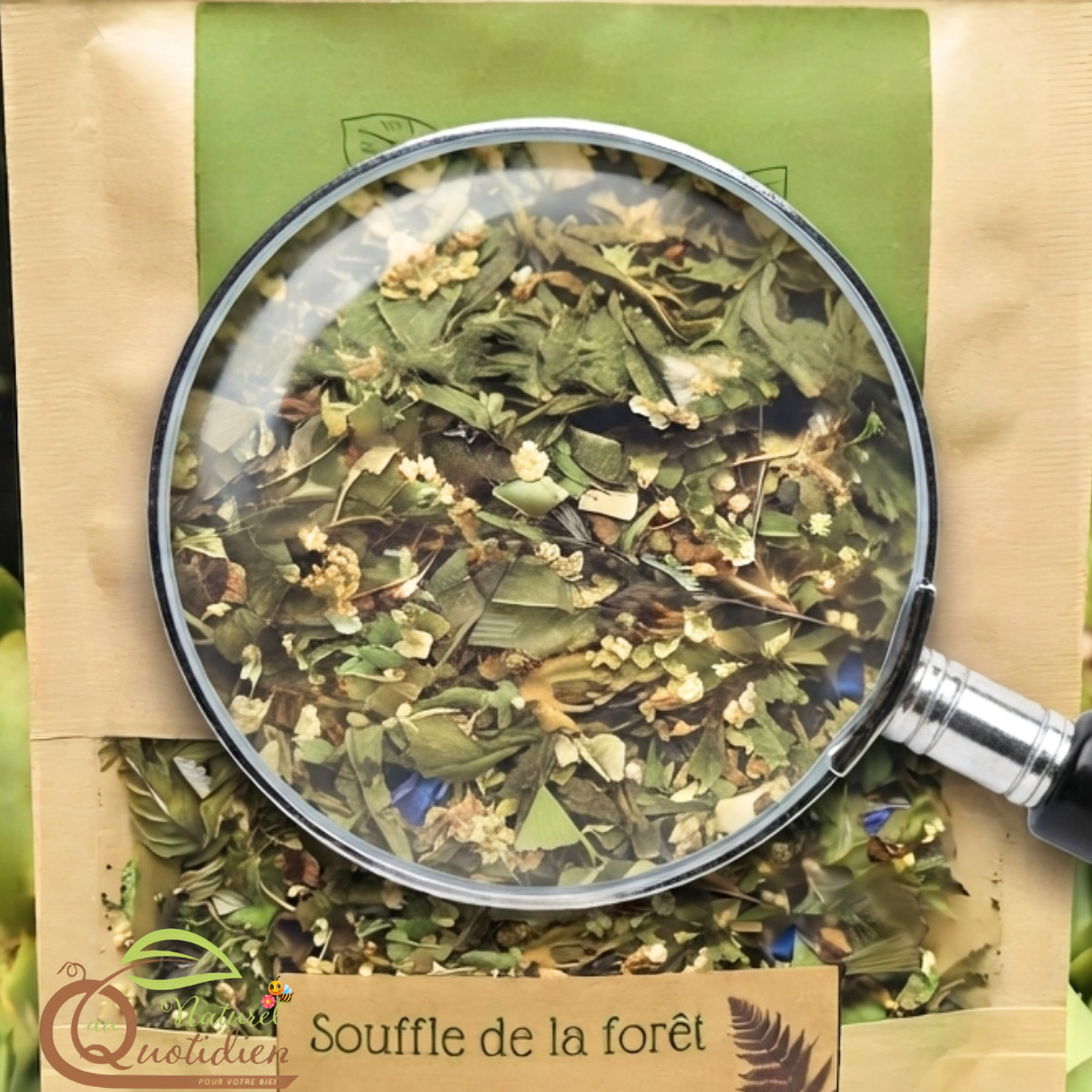 Souffle de la forêt : infusion revitalisante aux notes végétales – Image 2